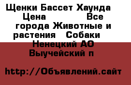 Щенки Бассет Хаунда  › Цена ­ 25 000 - Все города Животные и растения » Собаки   . Ненецкий АО,Выучейский п.